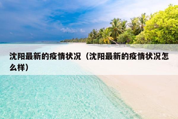 沈阳最新的疫情状况（沈阳最新的疫情状况怎么样）