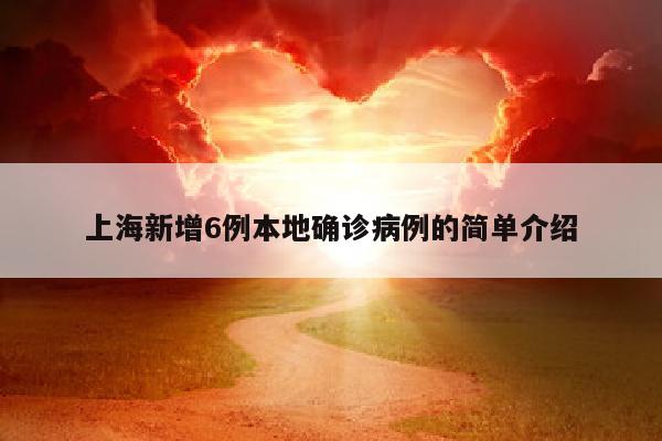 上海新增6例本地确诊病例的简单介绍