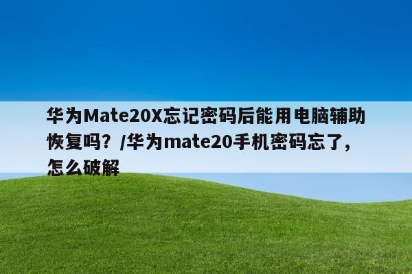 华为Mate20X忘记密码后能用电脑辅助恢复吗？/华为mate20手机密码忘了,怎么破解