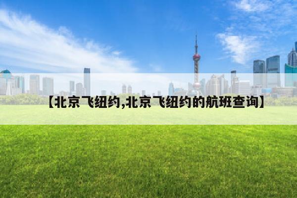 【北京飞纽约,北京飞纽约的航班查询】