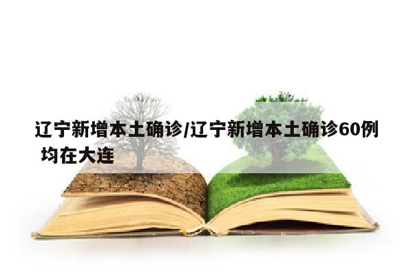 辽宁新增本土确诊/辽宁新增本土确诊60例 均在大连