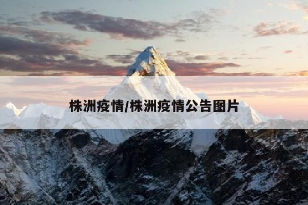 株洲疫情/株洲疫情公告图片