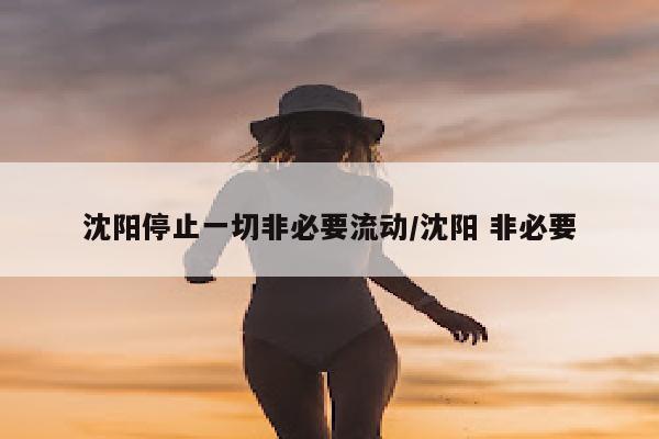 沈阳停止一切非必要流动/沈阳 非必要