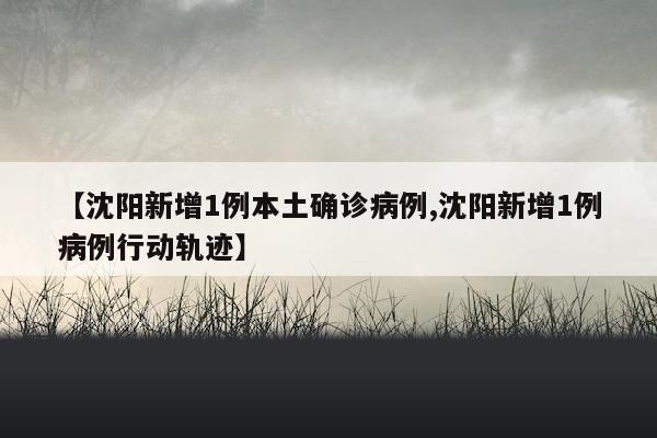 【沈阳新增1例本土确诊病例,沈阳新增1例病例行动轨迹】