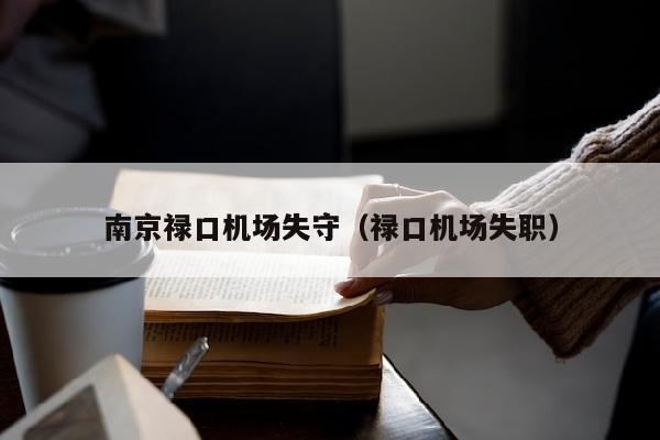 南京禄口机场失守（禄口机场失职）