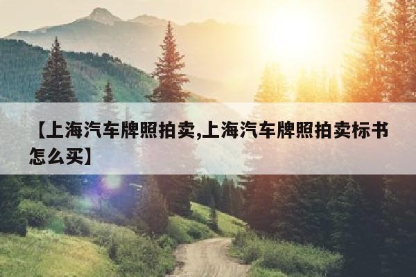 【上海汽车牌照拍卖,上海汽车牌照拍卖标书怎么买】