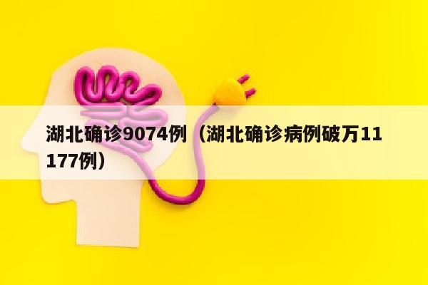 湖北确诊9074例（湖北确诊病例破万11177例）