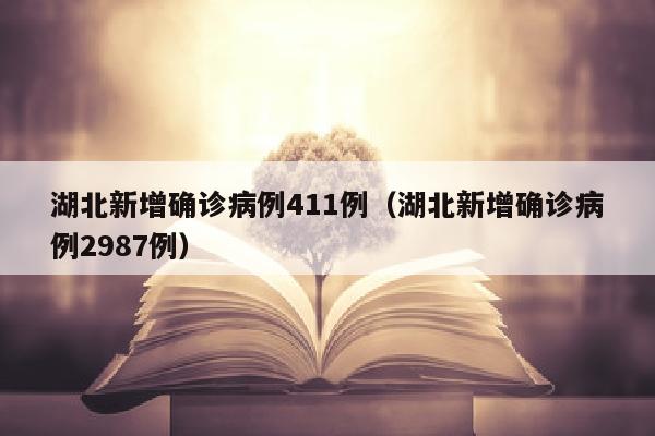 湖北新增确诊病例411例（湖北新增确诊病例2987例）