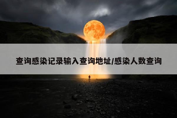 查询感染记录输入查询地址/感染人数查询