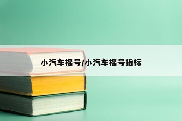 小汽车摇号/小汽车摇号指标