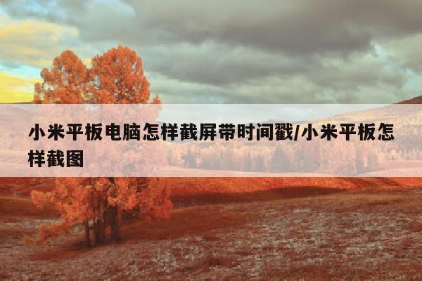 小米平板电脑怎样截屏带时间戳/小米平板怎样截图