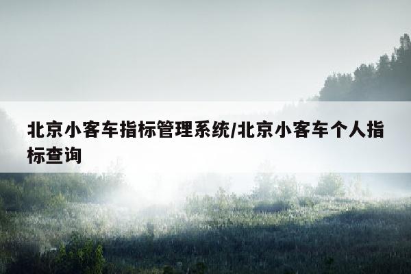 北京小客车指标管理系统/北京小客车个人指标查询