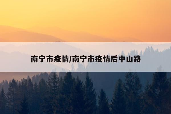 南宁市疫情/南宁市疫情后中山路