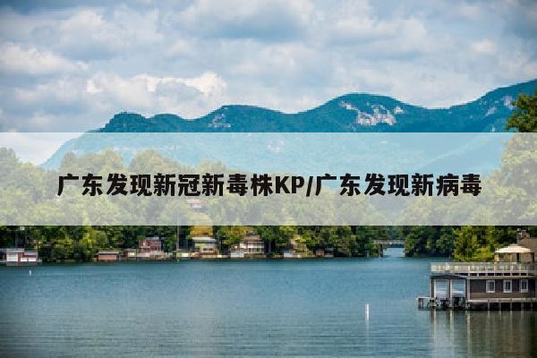 广东发现新冠新毒株KP/广东发现新病毒