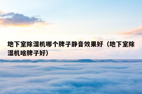 地下室除湿机哪个牌子静音效果好（地下室除湿机啥牌子好）