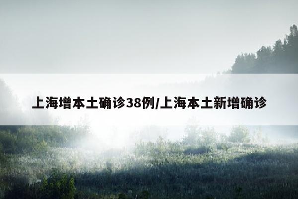 上海增本土确诊38例/上海本土新增确诊