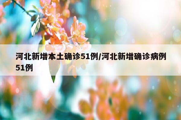 河北新增本土确诊51例/河北新增确诊病例51例