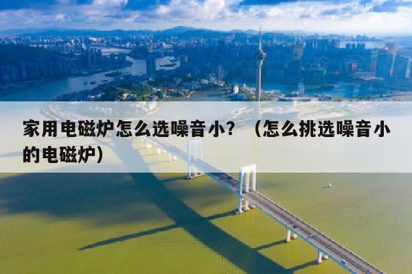 家用电磁炉怎么选噪音小？（怎么挑选噪音小的电磁炉）