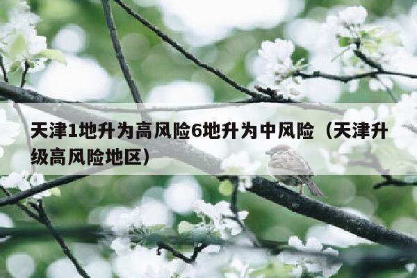 天津1地升为高风险6地升为中风险（天津升级高风险地区）