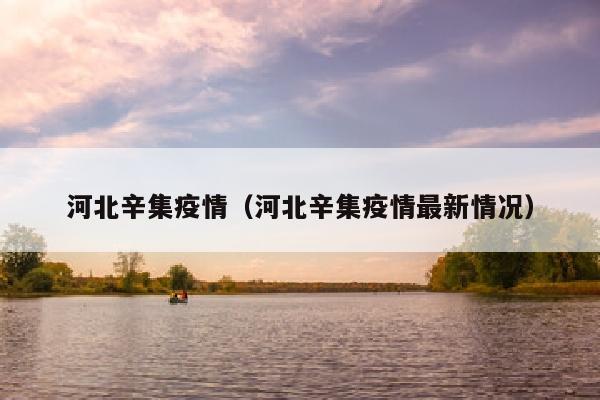 河北辛集疫情（河北辛集疫情最新情况）