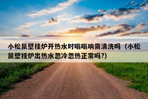 小松鼠壁挂炉开热水时嗡嗡响需清洗吗（小松鼠壁挂炉出热水忽冷忽热正常吗?）