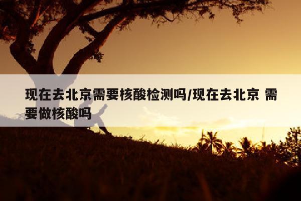 现在去北京需要核酸检测吗/现在去北京 需要做核酸吗