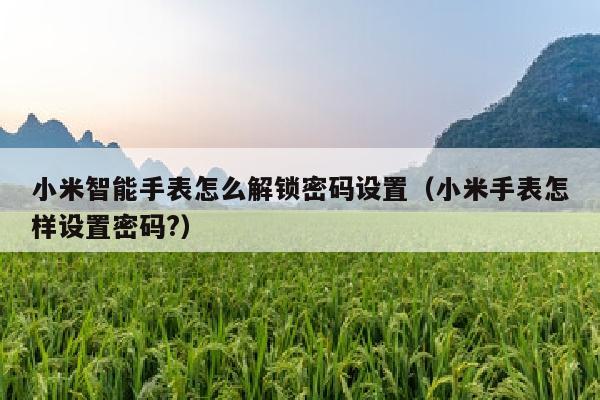 小米智能手表怎么解锁密码设置（小米手表怎样设置密码?）