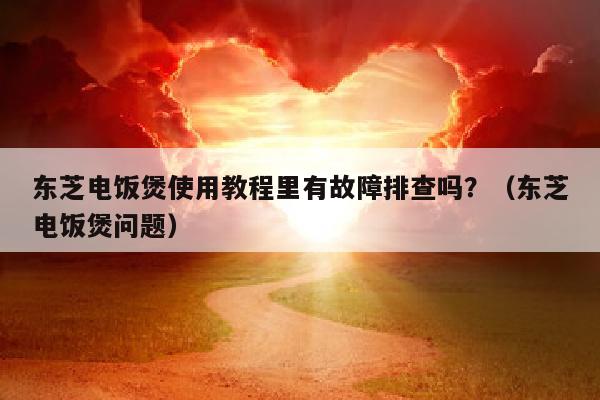 东芝电饭煲使用教程里有故障排查吗？（东芝电饭煲问题）