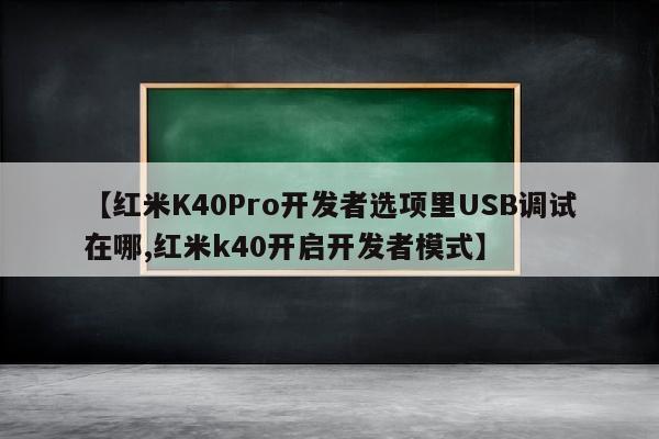 【红米K40Pro开发者选项里USB调试在哪,红米k40开启开发者模式】