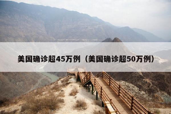 美国确诊超45万例（美国确诊超50万例）