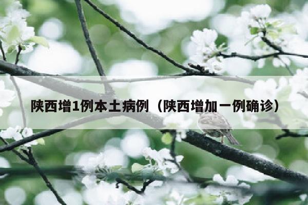 陕西增1例本土病例（陕西增加一例确诊）