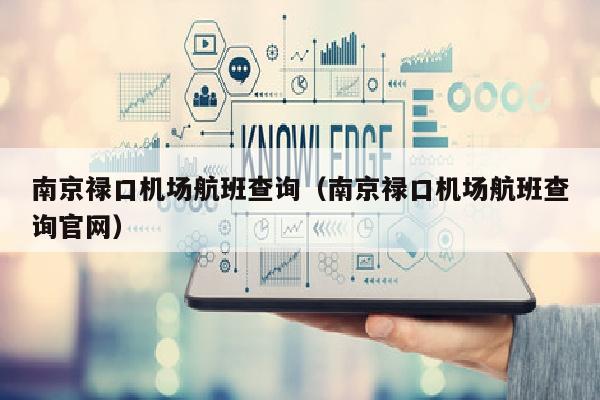南京禄口机场航班查询（南京禄口机场航班查询官网）