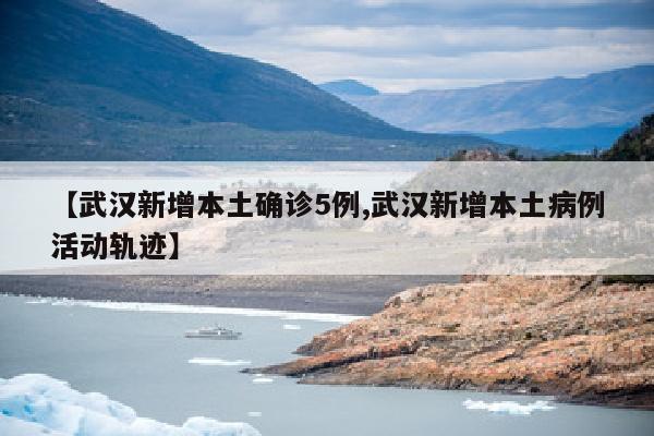 【武汉新增本土确诊5例,武汉新增本土病例活动轨迹】