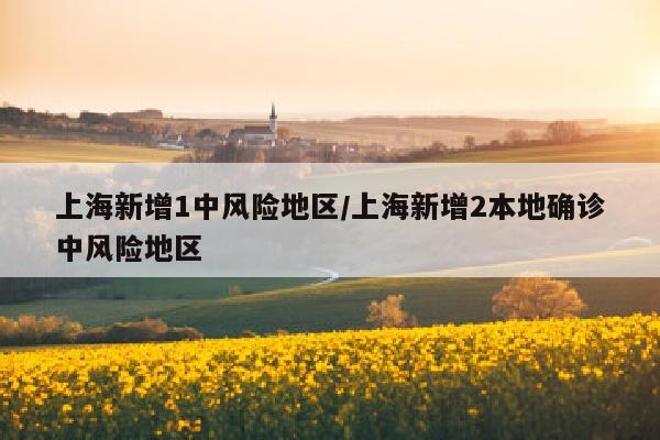 上海新增1中风险地区/上海新增2本地确诊中风险地区
