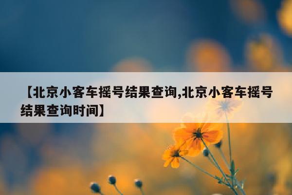 【北京小客车摇号结果查询,北京小客车摇号结果查询时间】