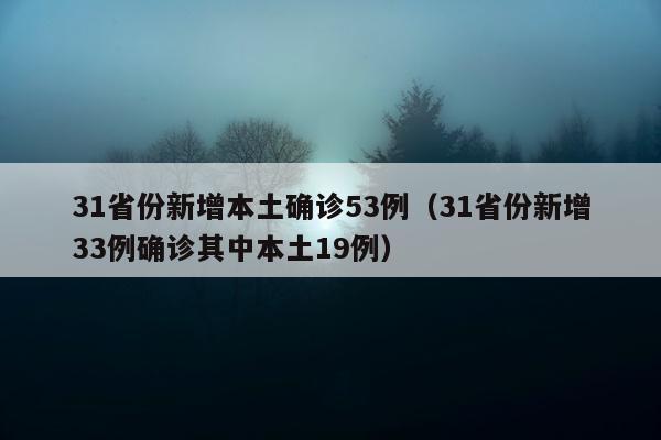 31省份新增本土确诊53例（31省份新增33例确诊其中本土19例）