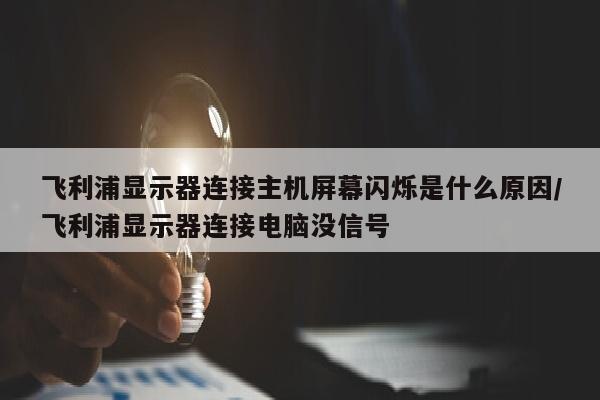 飞利浦显示器连接主机屏幕闪烁是什么原因/飞利浦显示器连接电脑没信号