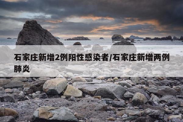 石家庄新增2例阳性感染者/石家庄新增两例肺炎