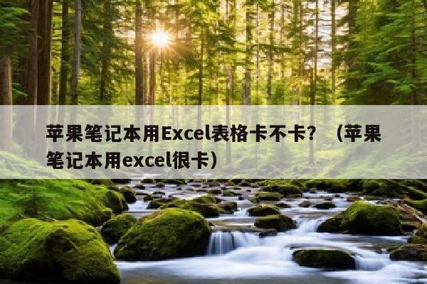 苹果笔记本用Excel表格卡不卡？（苹果笔记本用excel很卡）