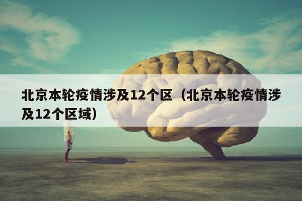 北京本轮疫情涉及12个区（北京本轮疫情涉及12个区域）