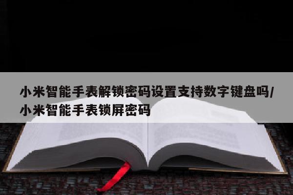 小米智能手表解锁密码设置支持数字键盘吗/小米智能手表锁屏密码