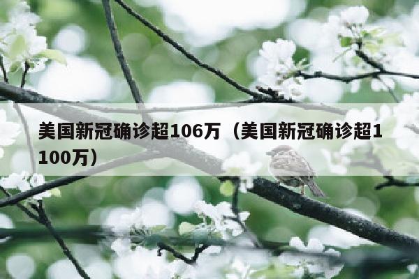 美国新冠确诊超106万（美国新冠确诊超1100万）