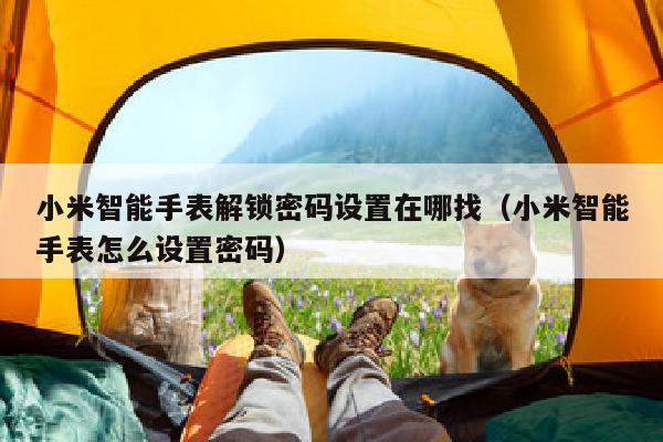 小米智能手表解锁密码设置在哪找（小米智能手表怎么设置密码）