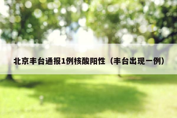 北京丰台通报1例核酸阳性（丰台出现一例）