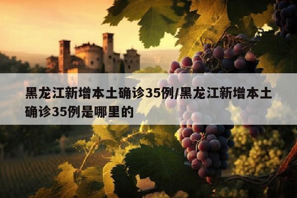 黑龙江新增本土确诊35例/黑龙江新增本土确诊35例是哪里的