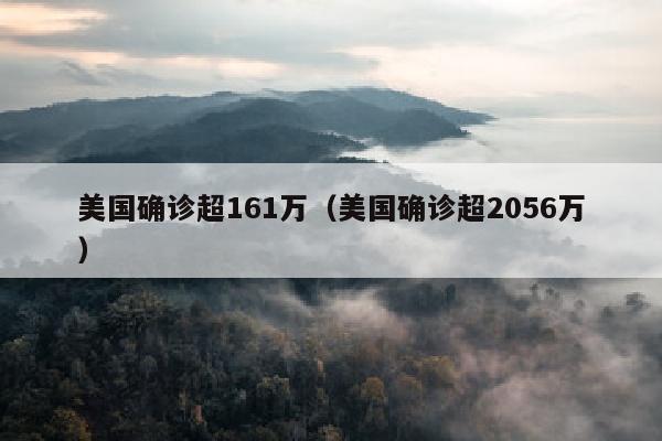 美国确诊超161万（美国确诊超2056万）