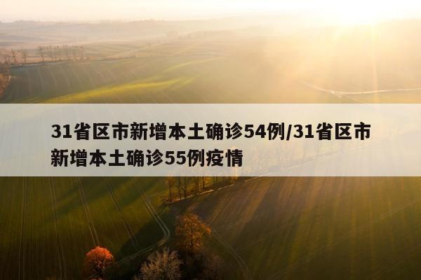 31省区市新增本土确诊54例/31省区市新增本土确诊55例疫情