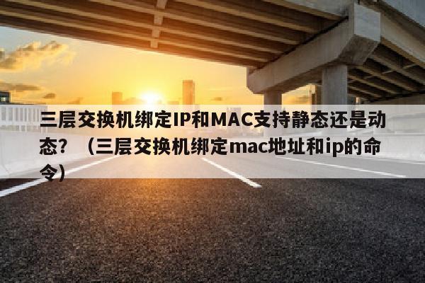 三层交换机绑定IP和MAC支持静态还是动态？（三层交换机绑定mac地址和ip的命令）