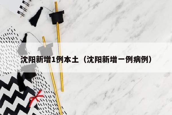 沈阳新增1例本土（沈阳新增一例病例）