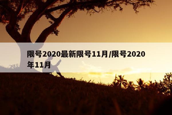 限号2020最新限号11月/限号2020年11月